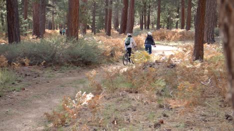 Lesbian-couple-on-bikes-high-five-in-a-forest,-back-view