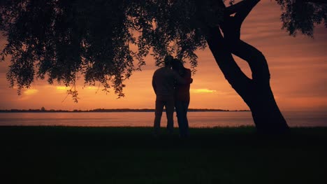 Paar-unter-einem-großen-Baum-zu-bleiben,-einander-umarmen-und-mit-Blick-auf-Sonnenuntergang