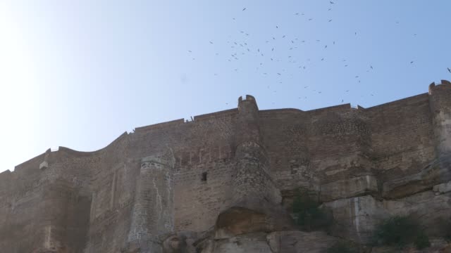Raptors-y-aves-sobrevolando-el-Fuerte-de-Jodhpur,-Rajastán,-India.