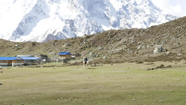 Jinete-se-monta-en-el-campo-seco-en-aldea-Bimthang,-Nepal.