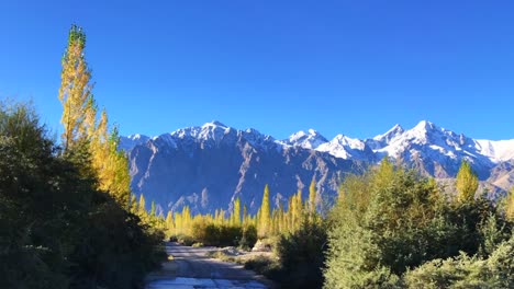 Paisaje-Valle-de-Nubra,-Ladakh,-la-India-de-Leh