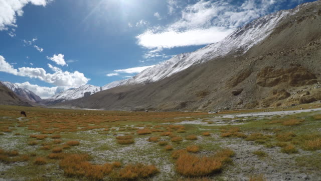 Paisaje-Santuario-de-vida-silvestre-de-Pangong,-Leh-Ladakh,-India