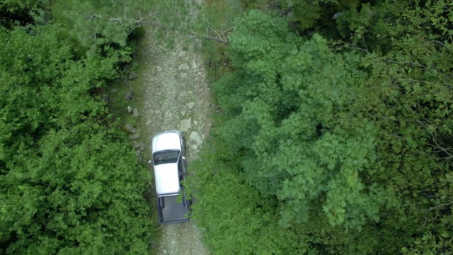 Car-going-through-the-beatiful-forest,-aerial-shooting
