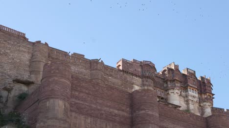 Greifvögel-und-Vögel-fliegen-über-Jodhpur-Fort,-Rajasthan,-Indien.