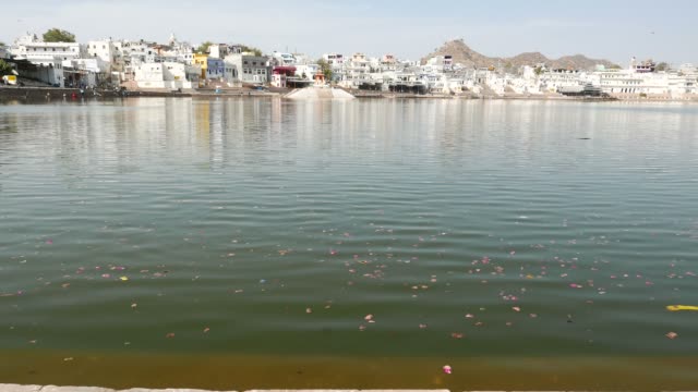 Schwimmende-Blumen-auf-dem-Weihwasserteich-in-Pushkar,-Rajasthan,-Indien