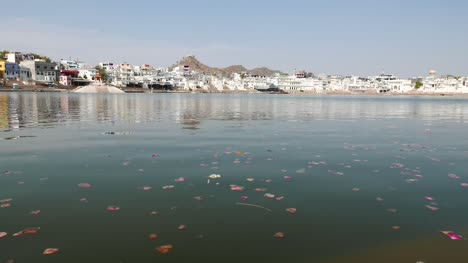 Schwimmende-Blumen-auf-dem-Weihwasserteich-in-Pushkar,-Rajasthan,-Indien