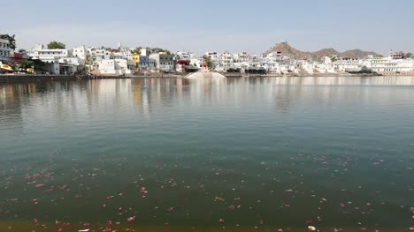Floating-flowers-on-the-holy-water-pond-in-Pushkar,-Rajasthan,-India