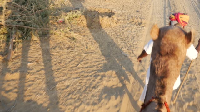 Sicht-eine-Fahrt-von-Kamel-in-Sanddünen-in-der-Wüste
