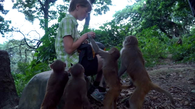 La-niña-alimenta-a-monos-salvajes