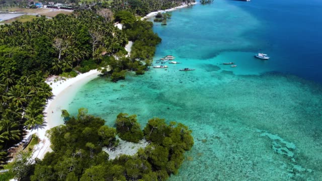 Vista-aérea-de-una-playa-de-aguas-azul-cristalinas-en-Havelock,-Islas-de-Andaman-y-Nicobar-isla,-la-India