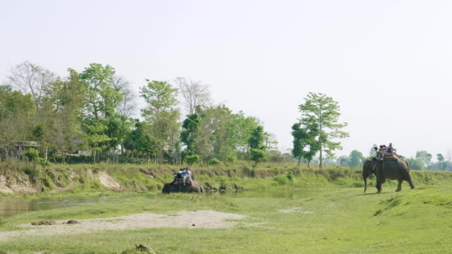 Safari-de-elefantes-con-los-turistas-en-selva,-Parque-nacional-en-Chaitwan,-Nepal.