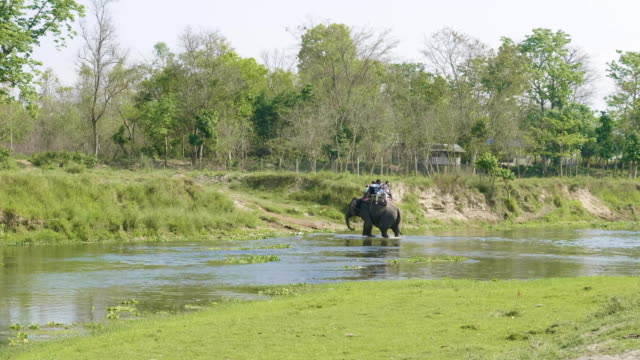 Elephant-safari-with-tourists-in-jungle,-national-park-in-Chaitwan,-Nepal.