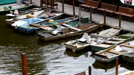 Tschechien,-Prag.-Alte-kleine-Boote-geparkt-auf-der-Anklagebank