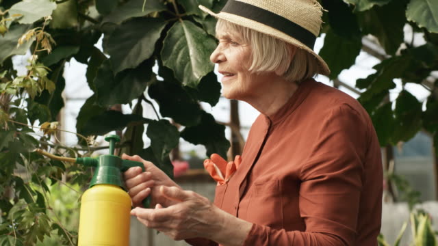 Elderly-Woman-Working-in-Greenhouse-and-Smiling-for-Camera
