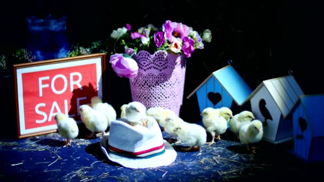 auf-dem-Stroh-auf-dem-Heu-gehen-kleine-Hühner,-Enten.-Im-Hintergrund-ein-Heuhaufen-farbige-kleine-Vogelhäuschen,-ein-Bouquet-von-Pfingstrosen.-Platte-zu-verkaufen