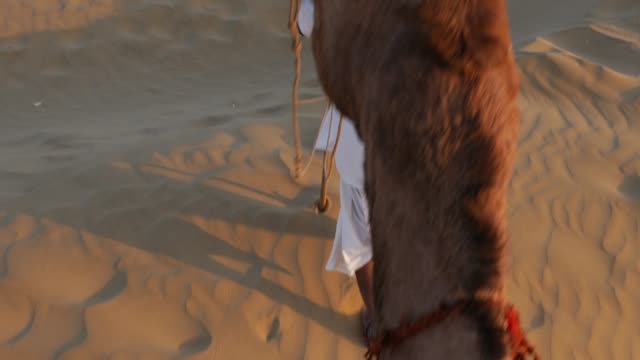 Point-of-View-of-a-ride-of-camel-in-sand-dunes-in-the-desert