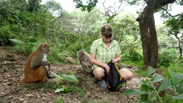 The-girl-feeds-wild-monkeys