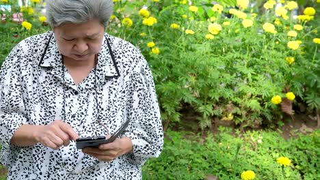 Asia-mujer-mayor-sosteniendo-el-teléfono-móvil-mientras-está-sentado-en-la-banca-en-el-jardín.-mayor-mujer-sonriendo-mientras-mensaje-mensajes-de-texto,-con-la-aplicación-de-teléfono-móvil-en-el-parque.-superar-a-smartphone-de-mayor-uso-para-conectar-con-la-gente-en-red-social-con-conexión-inalámbrica-a-internet