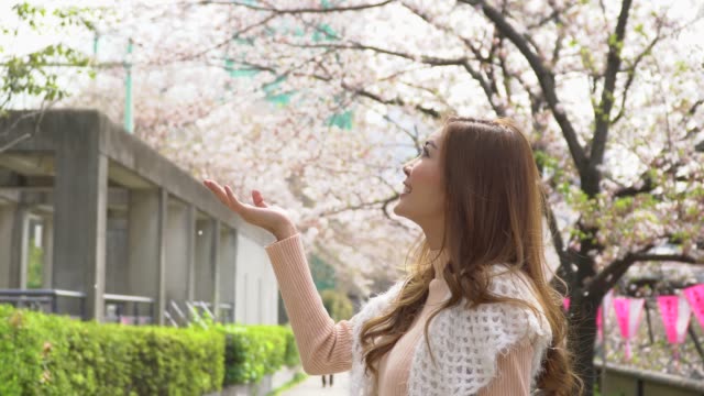 woman-and-cherry-blossom-petal-falling