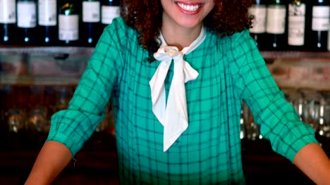Portrait-of-barmaid-smiling-at-bar-counter