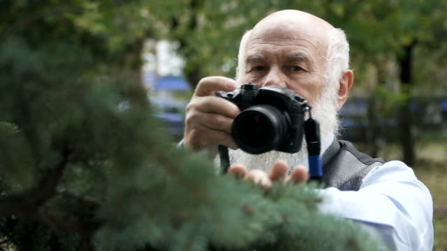 Senior-man-takes-a-photo-of-spruce