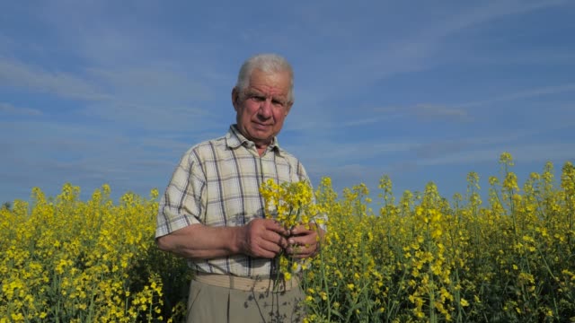 Retrato-de-un-anciano-agricultor-está-parado-en-un-floreciente-campo-de-flores-amarillas.