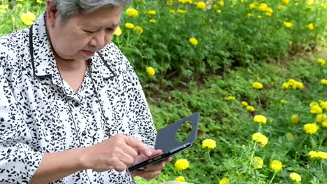 Asia-mujer-mayor-sosteniendo-el-teléfono-móvil-mientras-está-sentado-en-la-banca-en-el-jardín.-mayor-mujer-sonriendo-mientras-mensaje-mensajes-de-texto,-con-la-aplicación-de-teléfono-móvil-en-el-parque.-superar-a-smartphone-de-mayor-uso-para-conectar-con-la-gente-en-red-social-con-conexión-inalámbrica-a-internet