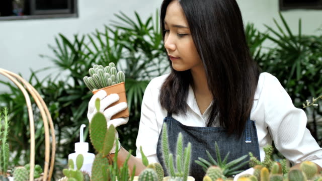 4K-Slow-Motion-junge-Asiatin-Floristen-Pflanzen-Kakteen
