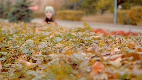 Girl-touches-the-bushes-in-the-autumn-park