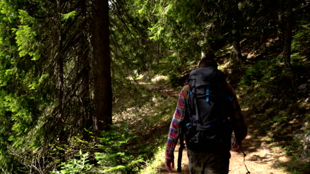 Reisende-mit-einem-Rucksack-Spaziergänge-durch-den-Wald