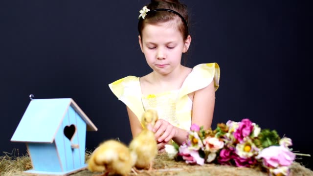 Portrait,-a-pretty-cute-little-girl-playing-with-small-yellow-ducklings.-Studio-video-with-thematic-decor.-In-the-background-a-haystack,-colored-birdhouses,-and-flowers