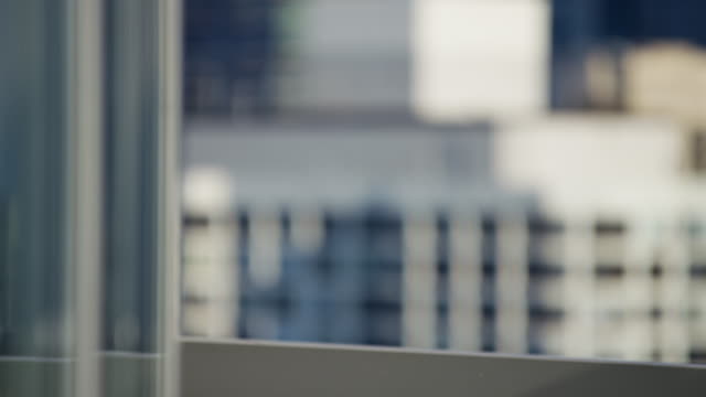 Portrait-of-Hispanic-female-consultant-on-skyscraper-rooftop