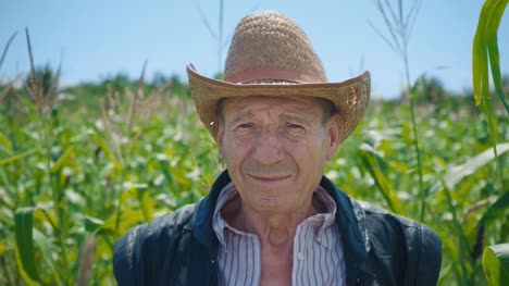 Portrait-of-an-elderly-man-in-a-straw-hat-against-the-background-of-a-cornfield.-A-farmer-on-his-land-surrounded-by-green-stems-of-grain-crops