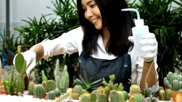4K-Slow-Motion-junge-Asiatin-Floristen-Pflanzen-Kakteen