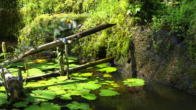 bamboo-water-fountain-at-tegallang-rice-terraces,-bali