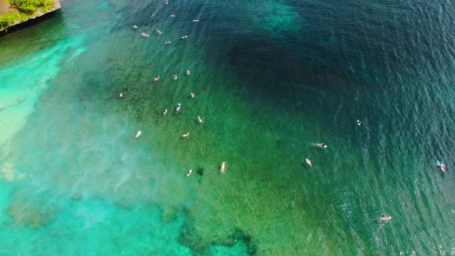 Tropical-ocean-with-turquoise-water-and-surfers.-Aerial-view