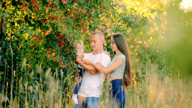 Happy-family-is-standing-near-a-tree-with-small-apples,-ranetki
