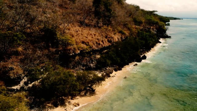 4K-Drone-Footage-of-Menjangan-Island-Shore-Bali-Crystal-Clear-Water