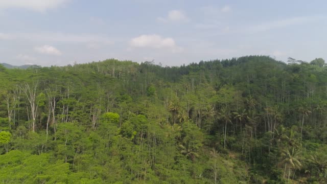 montañas-y-paisaje-tropical-rainforest