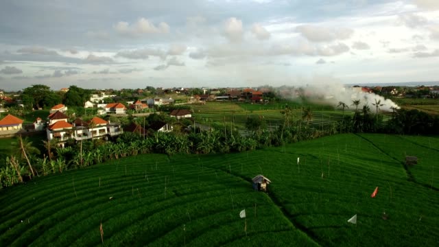 aerial-sidesweep---burning-over-lush-rice-terrace