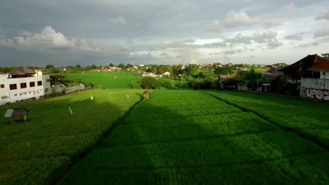 low-magic-hour-aerial-flight-over-lush-green-terrace
