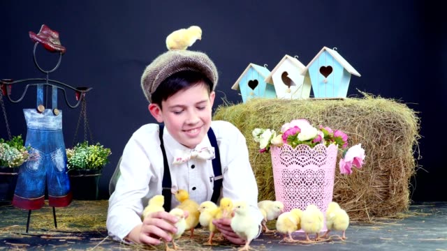 Village,-stylishly-dressed-cute-boy-playing-with-ducklings-and-chickens,-studio-video-with-thematic-decor.-In-the-background-a-haystack,-colored-bird-houses,-and-flowers