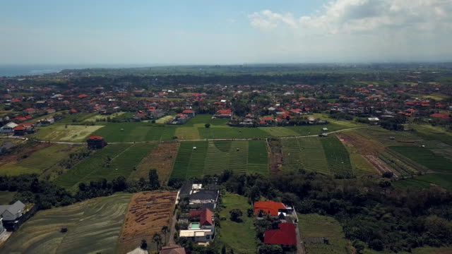 Plantagen-in-Bali-Indonesien