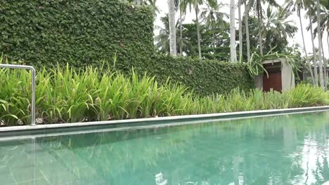 Una-vista-del-territorio-del-complejo-tropical-con-las-palmeras-piscina