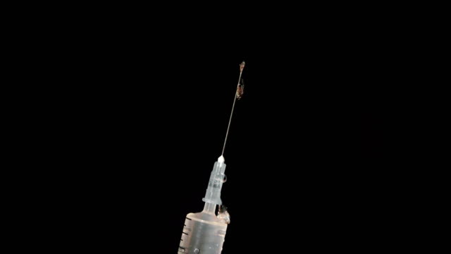 Injektionsspritzen-auf-schwarzem-Hintergrund.-UHD-Stock-video
