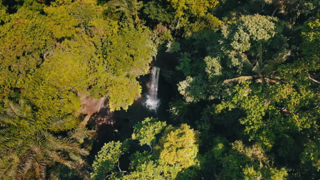 Waterfall-In-the-Middle-of-Jungle-In-Bali,-Indonesia-Aerial-Shot