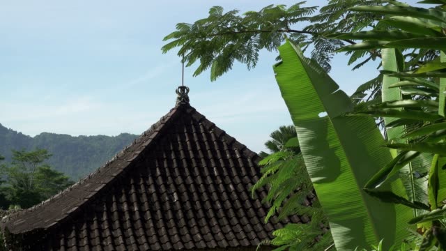 Blick-auf-die-Reisterrassen-von-Berg-und-Haus-des-Bauern.-Bali,-Indonesien
