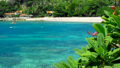 Flores-de-plumeria-frangipani-rojo-menear-por-la-brisa-del-mar.-Tropical-Playa-de-arena-con-agua-azul-turquesa-ondulado-en-el-fondo