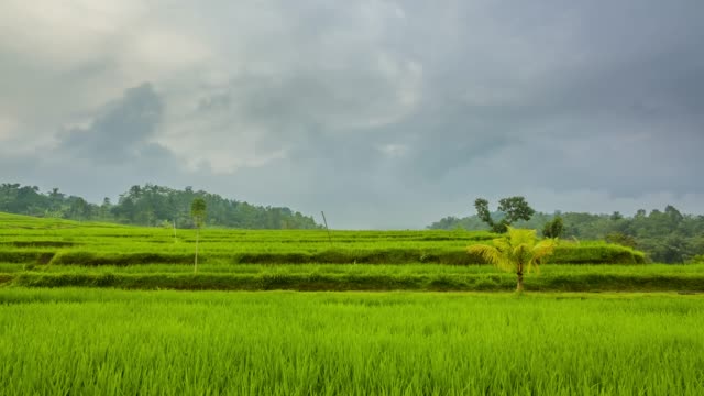 Evening-Clouds-over-Rice-Terraces.-Time-Lapse