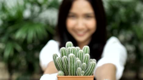 4K-lenta-de-Floreria-mujer-asiática-joven-plantación-de-cactus